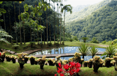 Exoticism and Caribbean cultures set the tone for two seminars