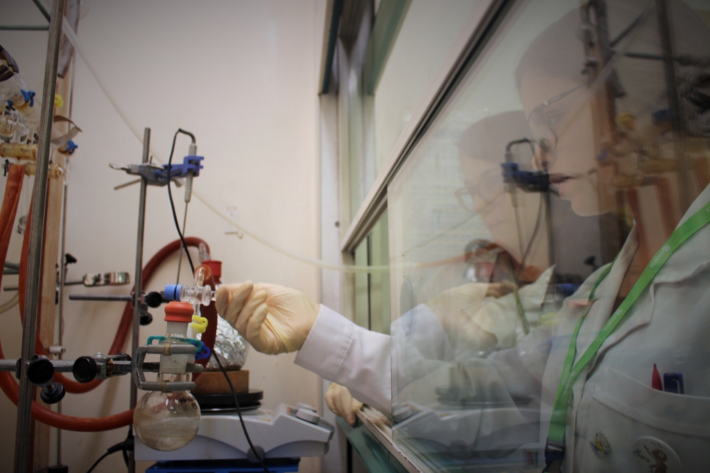 Presentation of the work developed in the "Summer internships at CQM"